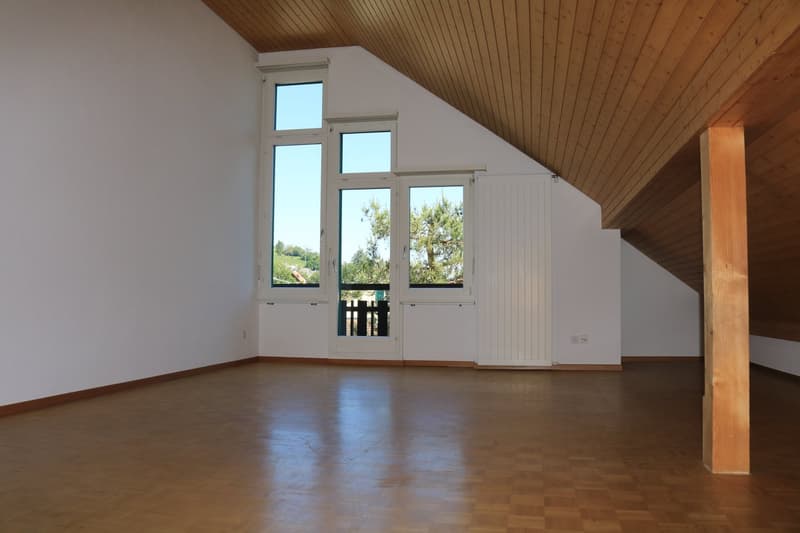 Grosszügige Dachwohnung an ruhiger Lage (5)