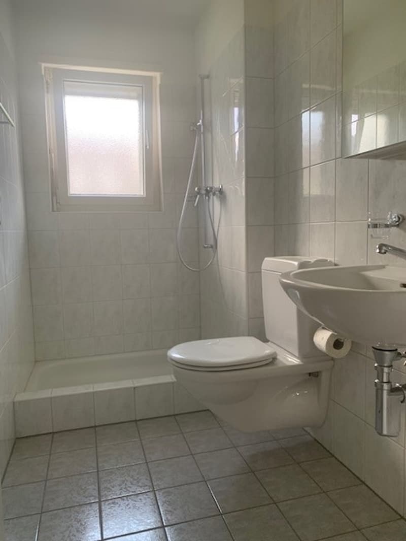 Helle 4.5-Zimmer-Wohnung mit Balkon (7)