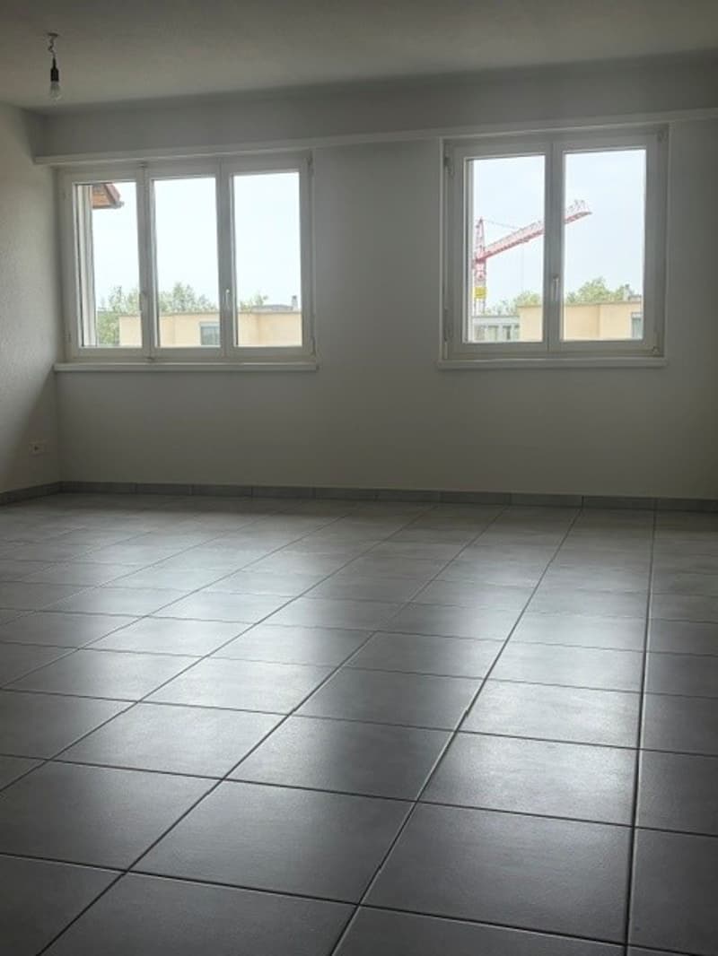 Helle 4.5-Zimmer-Wohnung mit Balkon (5)