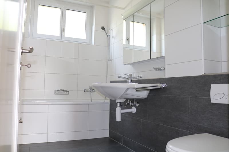 Wunderschöne 4-Zimmerwohnung zu vermieten (4)