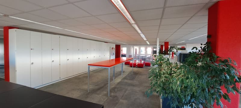 Grosse und helle Bürofläche (3)
