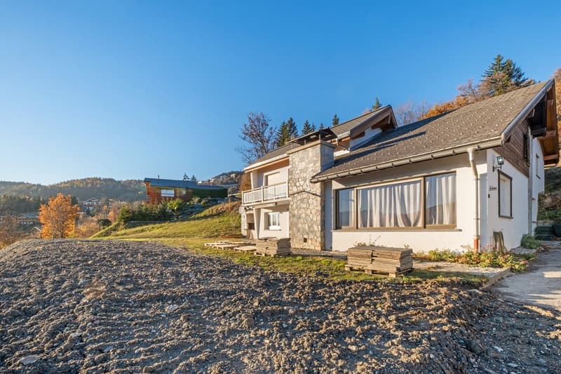Magnifica villa di 6.5 locali (1)