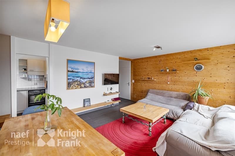 Peaceful apartment with unobstructed view (2)