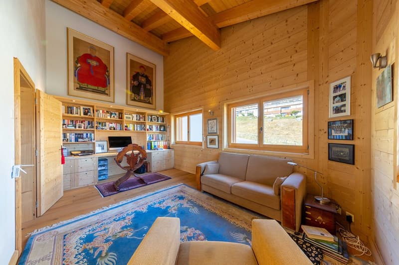 Attic Ancolie (3)