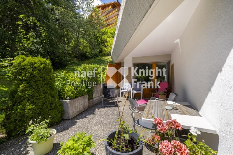 Charming apartment with terrace (6)