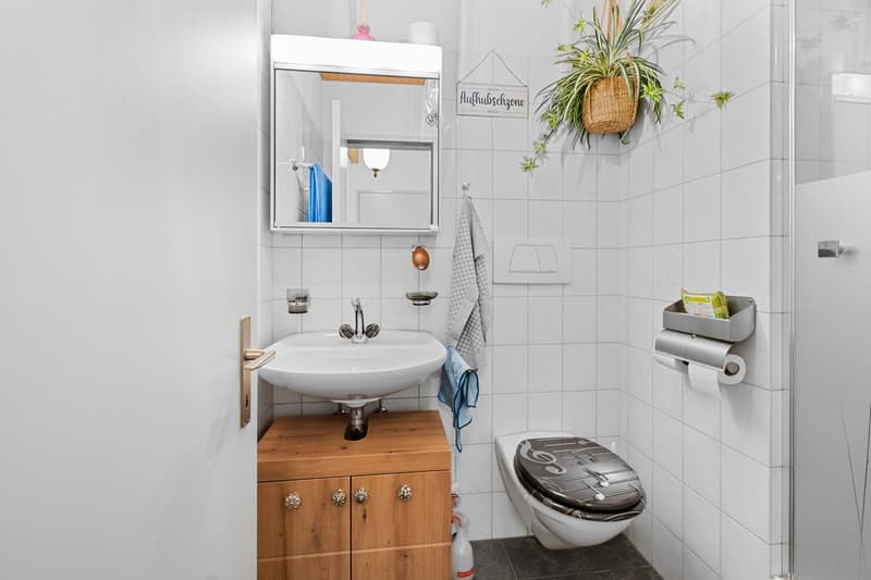 Appartement moderne 3.5 pièces avec balcon et garage à Buttikon SZ (13)