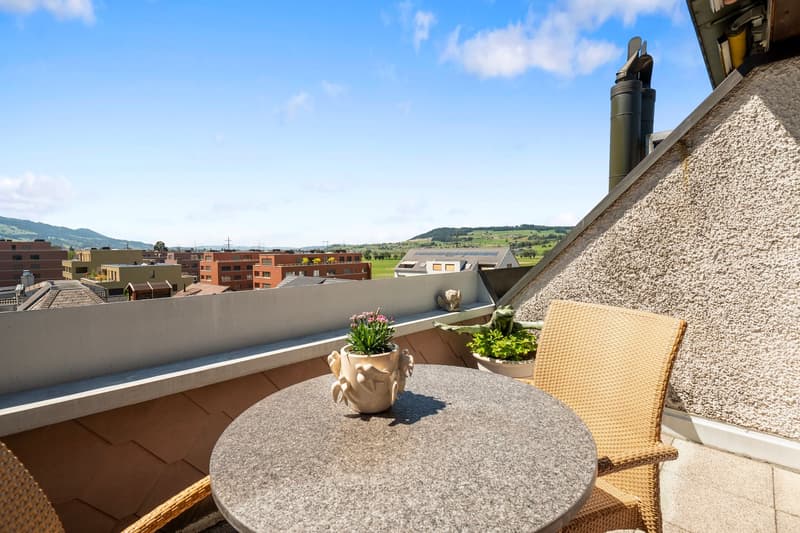 Appartement moderne 3.5 pièces avec balcon et garage à Buttikon SZ (23)