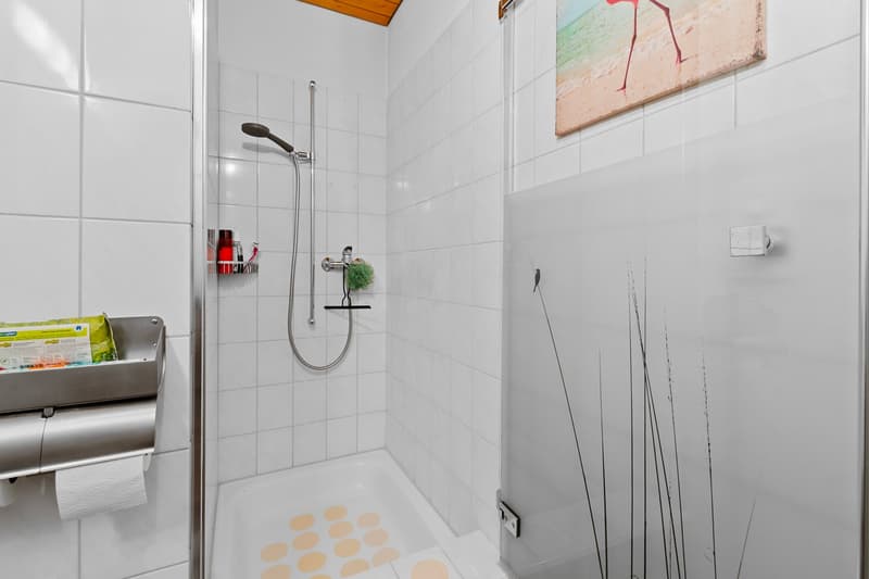 Appartement moderne 3.5 pièces avec balcon et garage à Buttikon SZ (14)