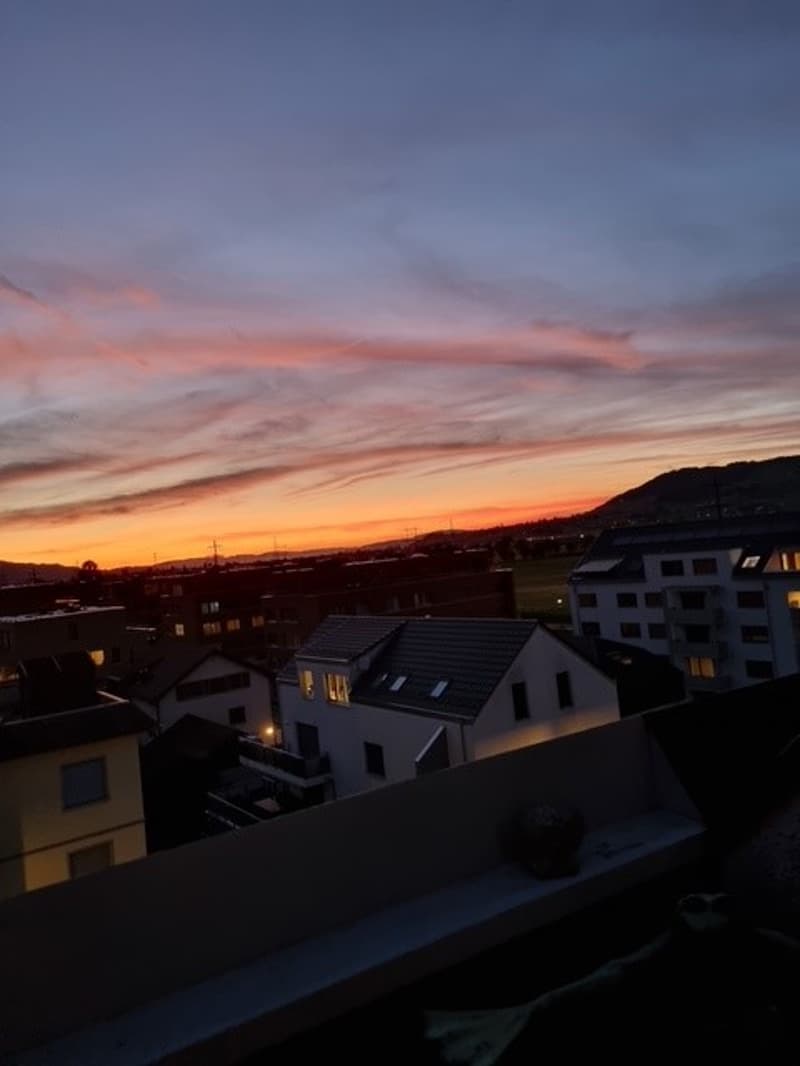 Appartement moderne 3.5 pièces avec balcon et garage à Buttikon SZ (25)