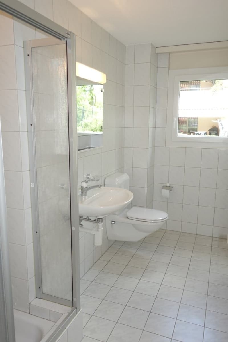 Geräumige 4.5-Zimmer-Wohnung im Erdgeschoss in Reichenburg (4)