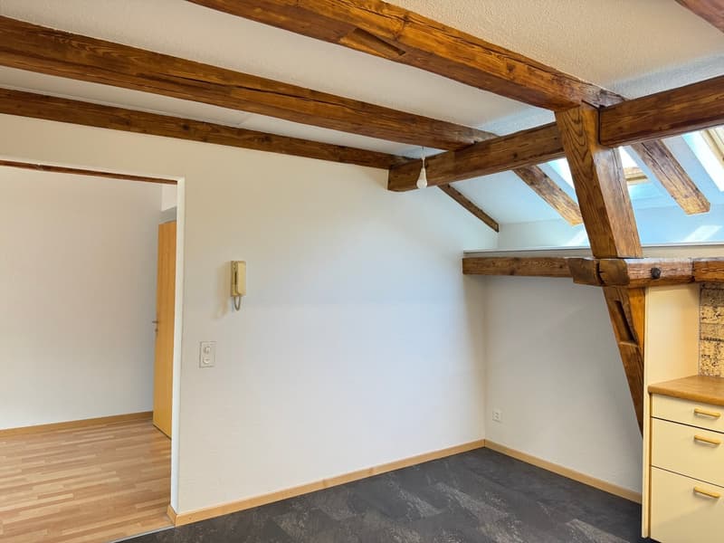 Charming 2.5-room attic apartment in Glarus (5)