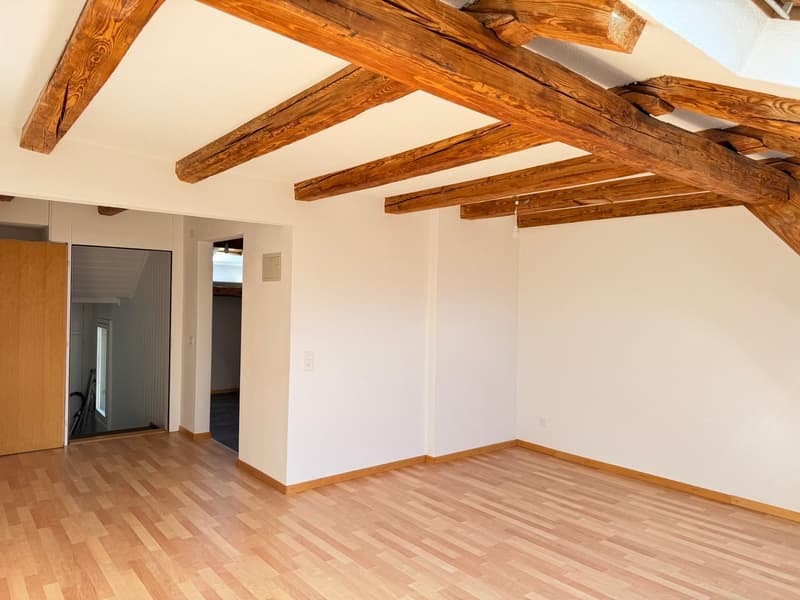 Charming 2.5-room attic apartment in Glarus (6)