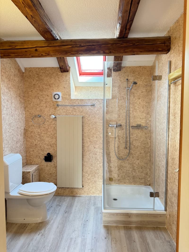 Charming 2.5-room attic apartment in Glarus (9)