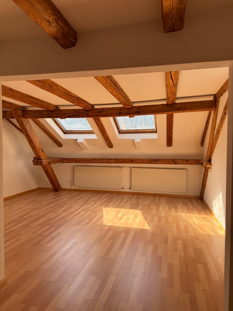 Charming 2.5-room attic apartment in Glarus (7)