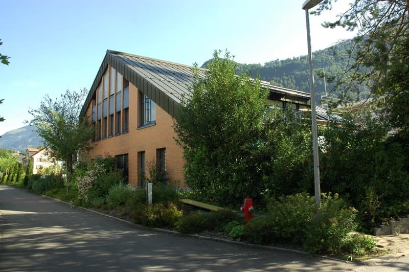 2-Room Apartment on the Ground Floor in Glarus Nord (1)