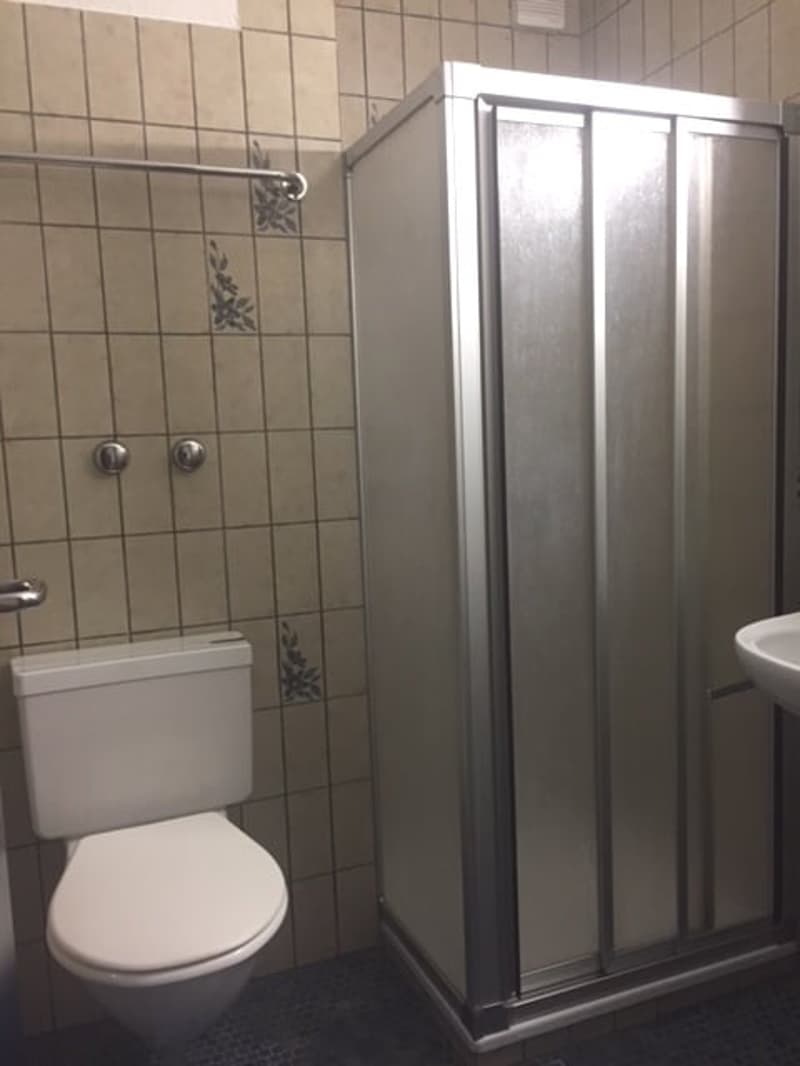 2-Room Apartment on the Ground Floor in Glarus Nord (6)