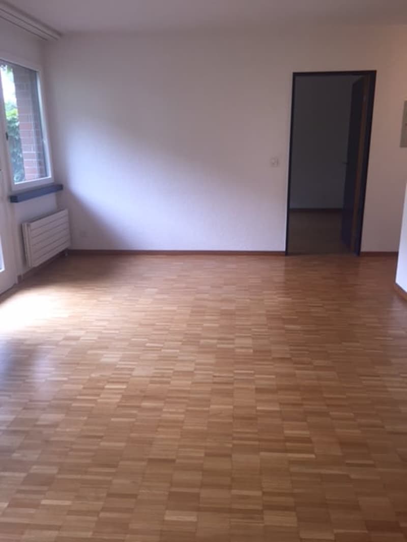 Appartement 2 pièces au rez-de-chaussée à Glarus Nord (2)