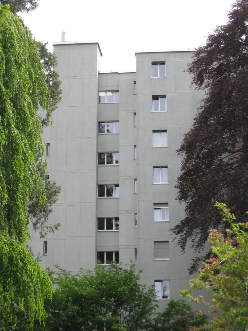 Appartement lumineux 2.5 pièces avec balcon à Glarus (1)