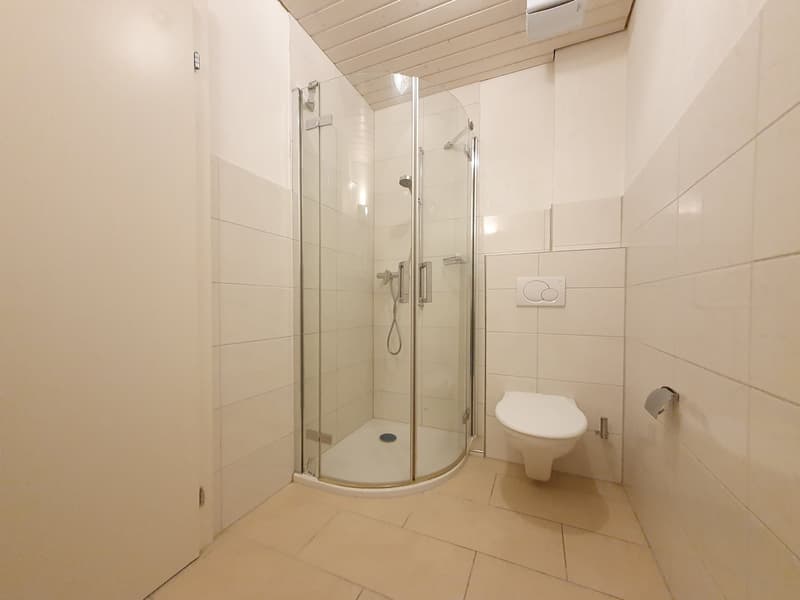 Gemütliche 1.5-Zimmer-Wohnung im historischen Gasthof Linthbrücke in Mollis (4)