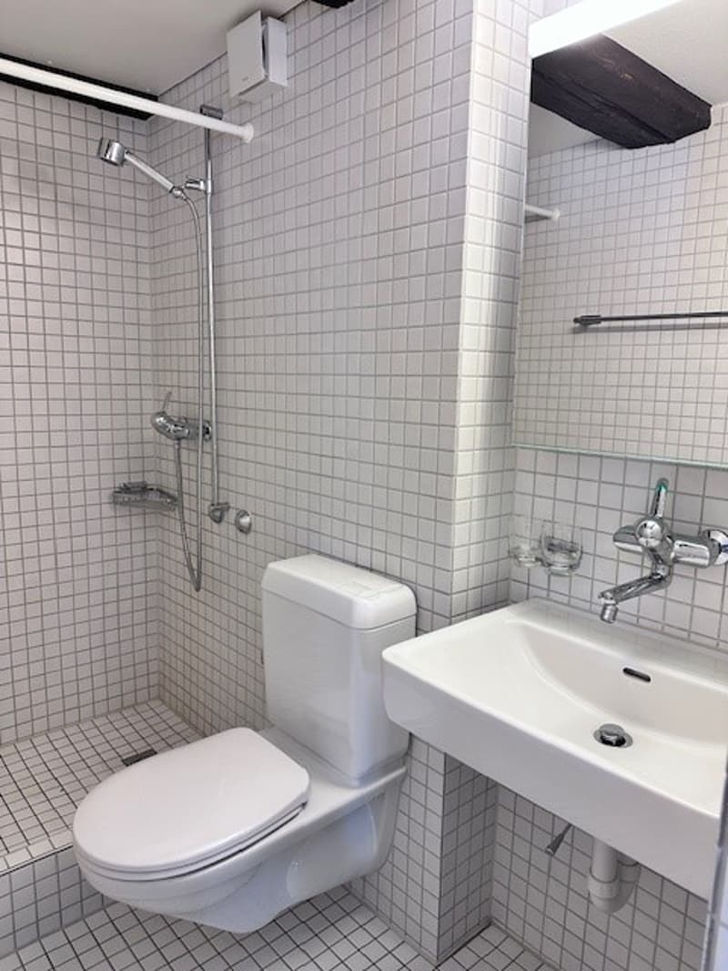 Maisonettewohnung mitten in der Altstadt - Wohnen+Arbeiten möglich (10)