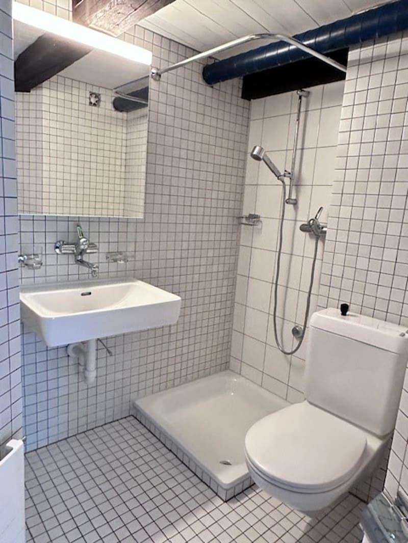 Maisonettewohnung mitten in der Altstadt - Wohnen+Arbeiten möglich (9)