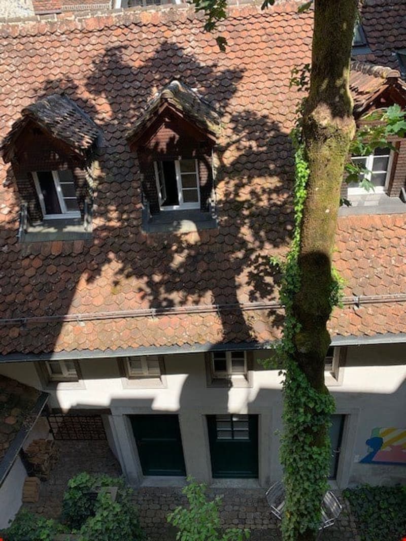 Maisonettewohnung mitten in der Altstadt - Wohnen+Arbeiten möglich (14)