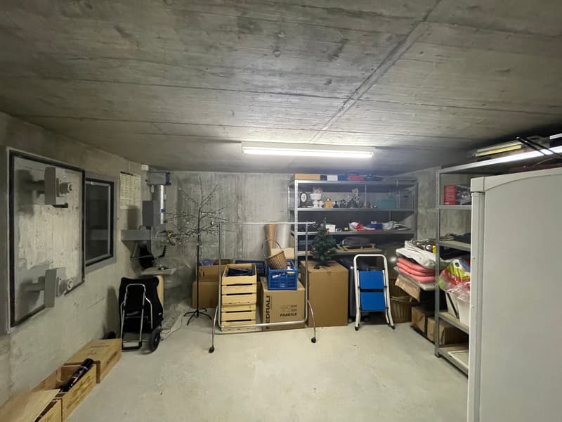 Reihen-Einfamilienhaus inkl. Autounterstand (14)
