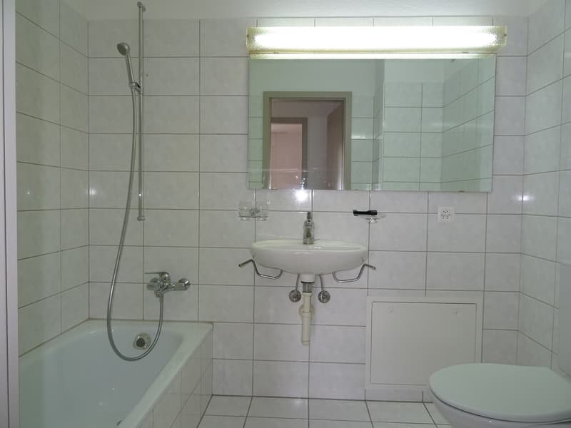 Appartamento di 3 camere nel quartiere tranquillo di Elsässli (8)