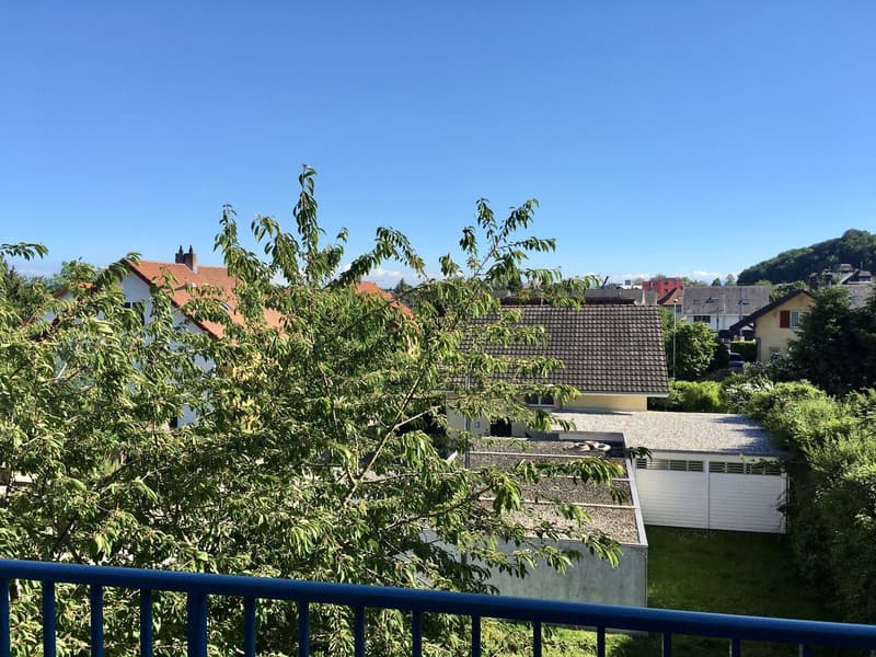 Appartamento di 3 camere nel quartiere tranquillo di Elsässli (3)