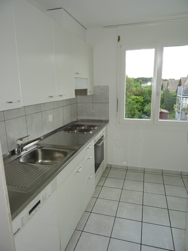 Appartamento di 3 camere nel quartiere tranquillo di Elsässli (5)