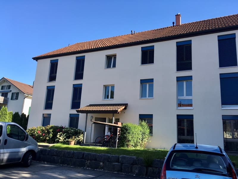 Appartamento di 3 camere nel quartiere tranquillo di Elsässli (1)