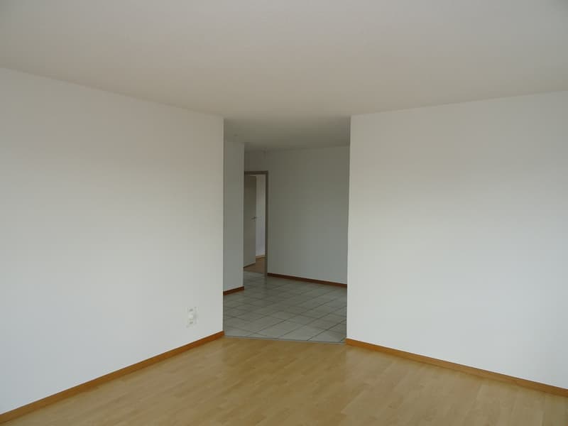 Appartamento di 3 camere nel quartiere tranquillo di Elsässli (9)