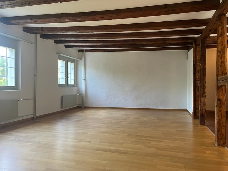 Ampio studio nel centro storico di Solothurn (2)
