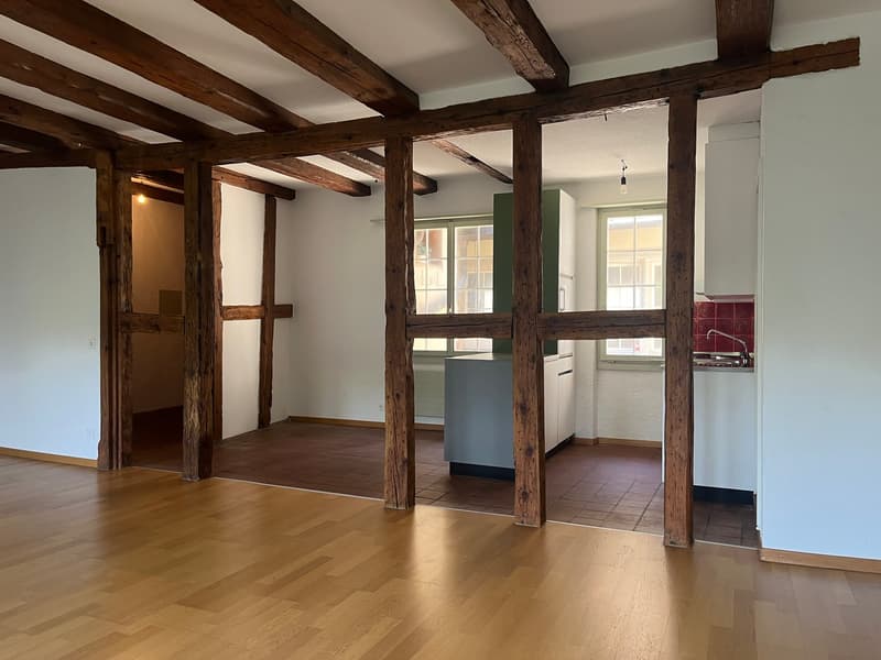 Ampio studio nel centro storico di Solothurn (4)
