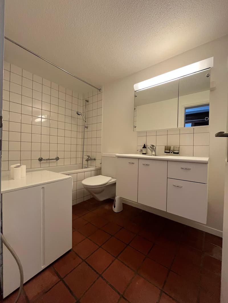 Ampio studio nel centro storico di Solothurn (7)