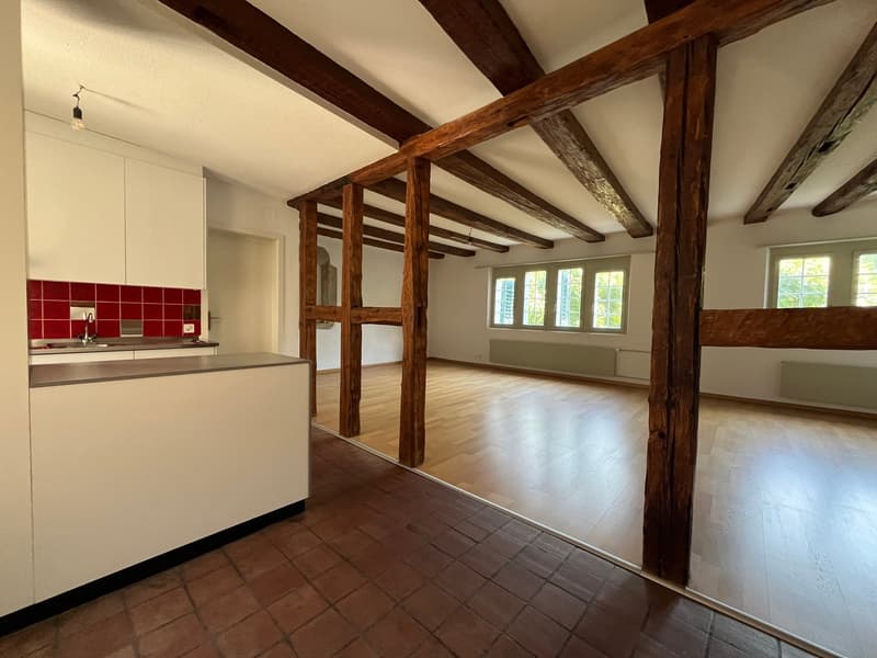 Ampio studio nel centro storico di Solothurn (3)