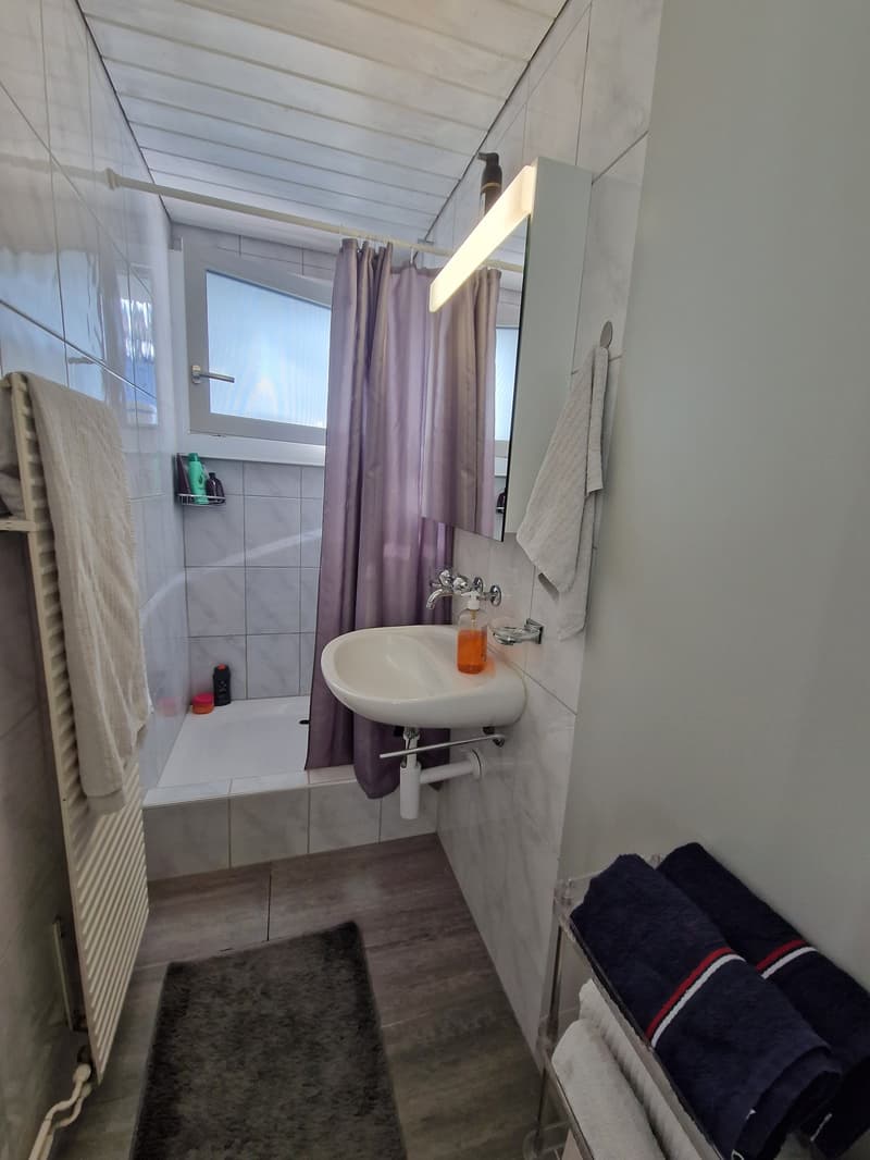 Gemütliche 3 1/2 Zimmerwohnung über 2 Etagen - ideal für Singles oder Paare (8)