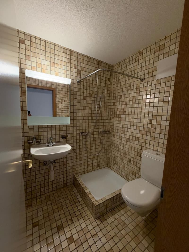 Sanierte 4.5-Zimmer-Wohnung mit Balkon in Bellach (5)