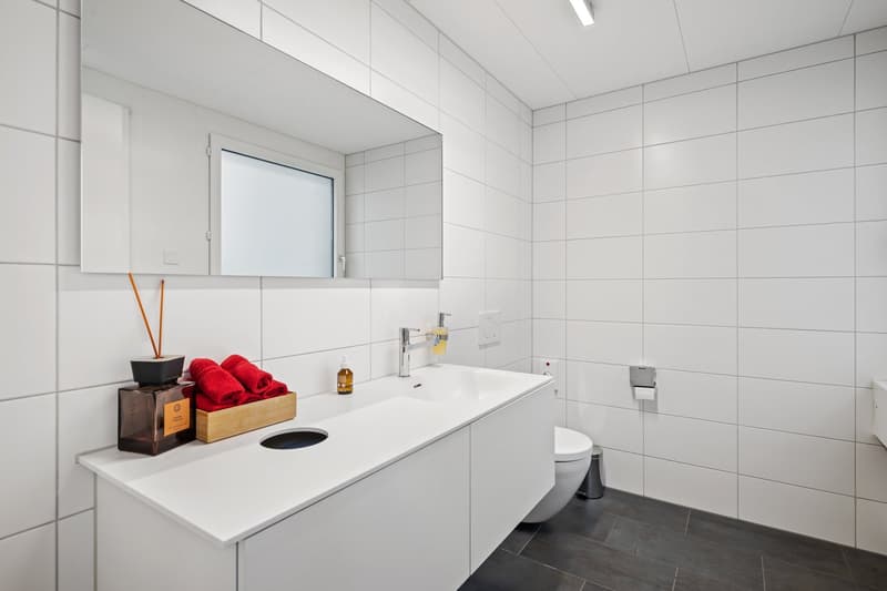 2293m2 Bürofläche im Stockwerkeigentum am Luzerner Alpenquai (4)