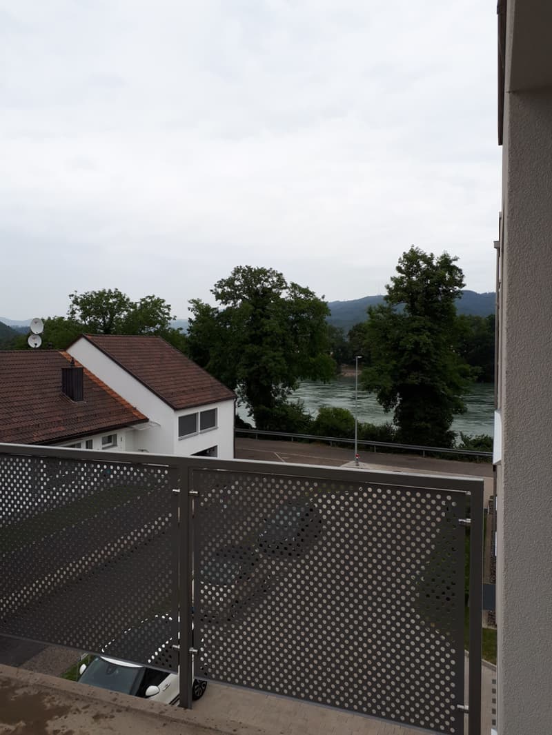 20190711_144959.jpg