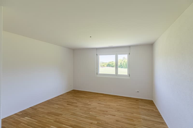 Zimmer