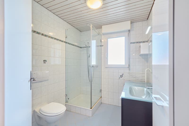 VILLA AVEC JARDIN ET ESPACE POUR INDIVIDUALITÉ (8)
