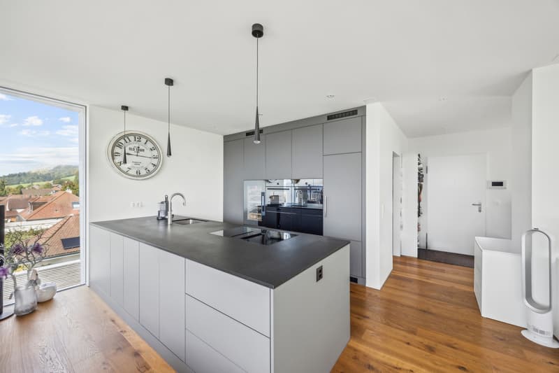 Attique élégant avec vue et design uniques (2)