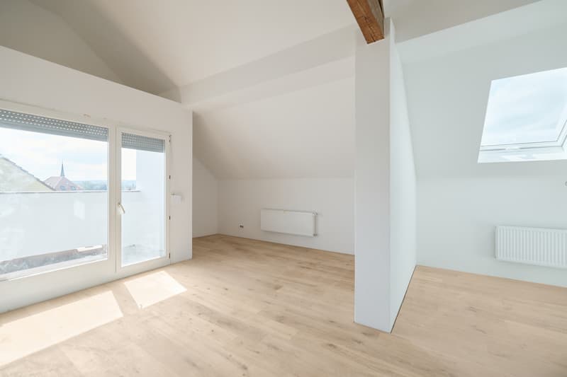 APPARTAMENTO MANSARDATO LUMINOSO E MODERNO DI 2,5 LOCALI (5)