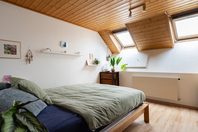 Versatile residential and commercial house (7)
