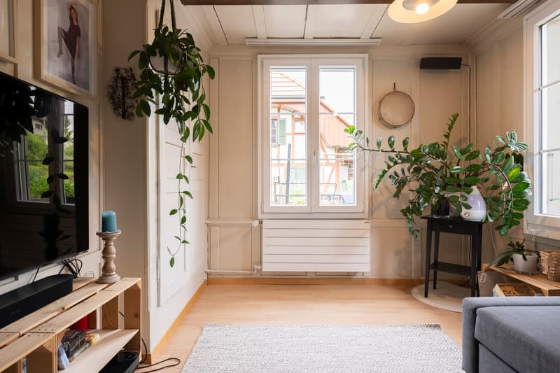 Versatile residential and commercial house (2)
