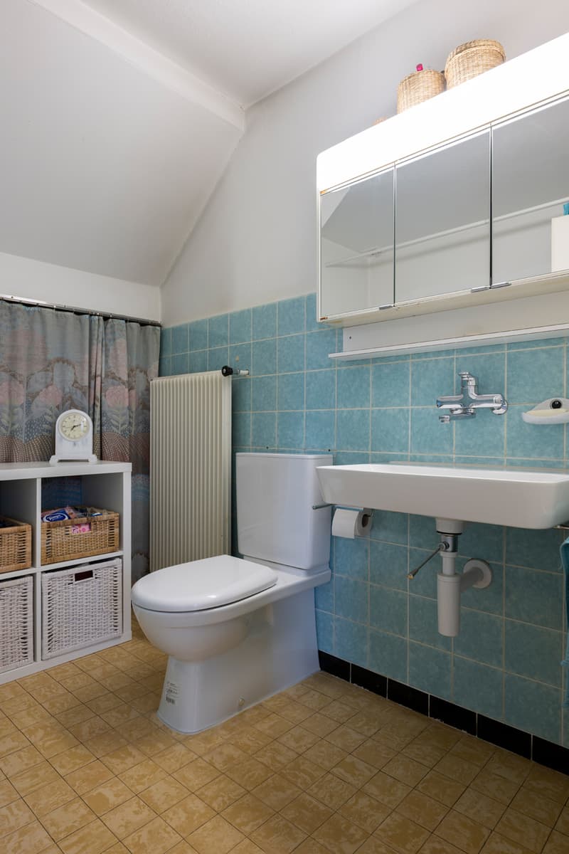 Versatile residential and commercial house (6)