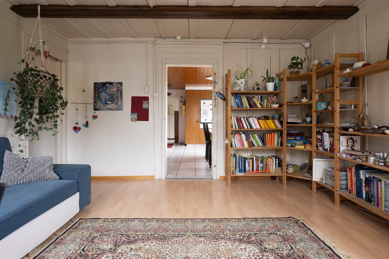 Versatile residential and commercial house (4)