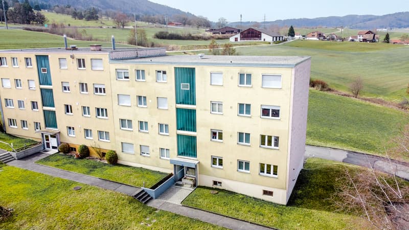 ATTRACTIVE RENTAL PROPERTY WITH RENOVATED APARTMENTS (3)