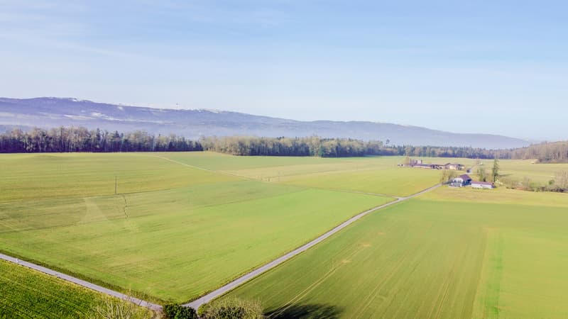 Paradiso di casa di campagna con spazio per la vita e i sogni (13)